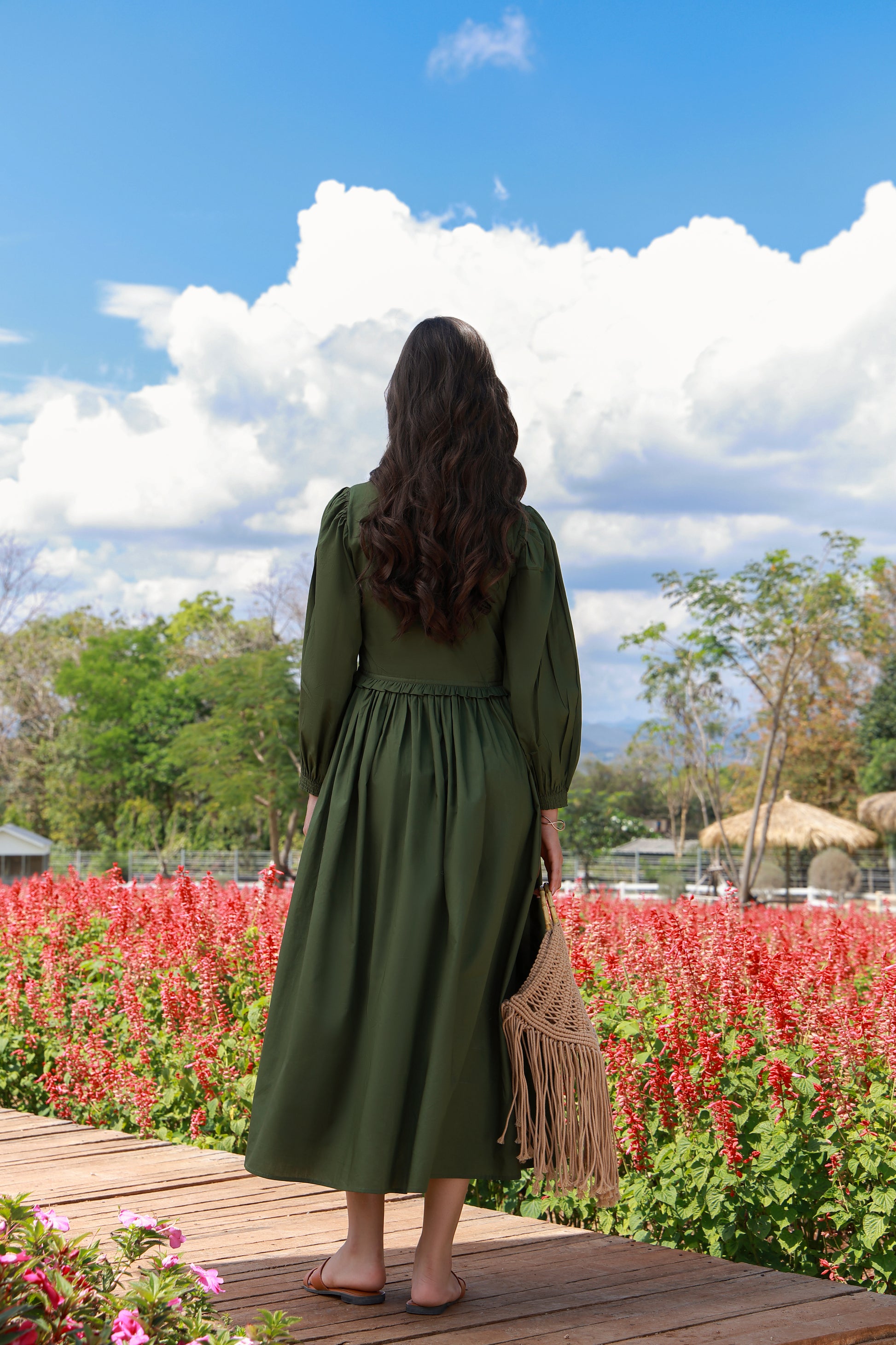 Sage Meadow green cotton dress for women by Timeless by Waliya Noor