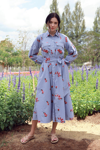 Rosette Stripes striped cotton dress with pink embroidery - Timeless by Waliya Noor