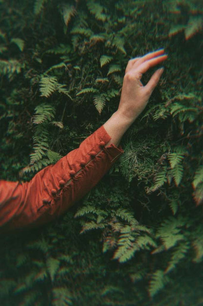 Pine & Cotton rust cotton dress - Timeless by Waliya Noor