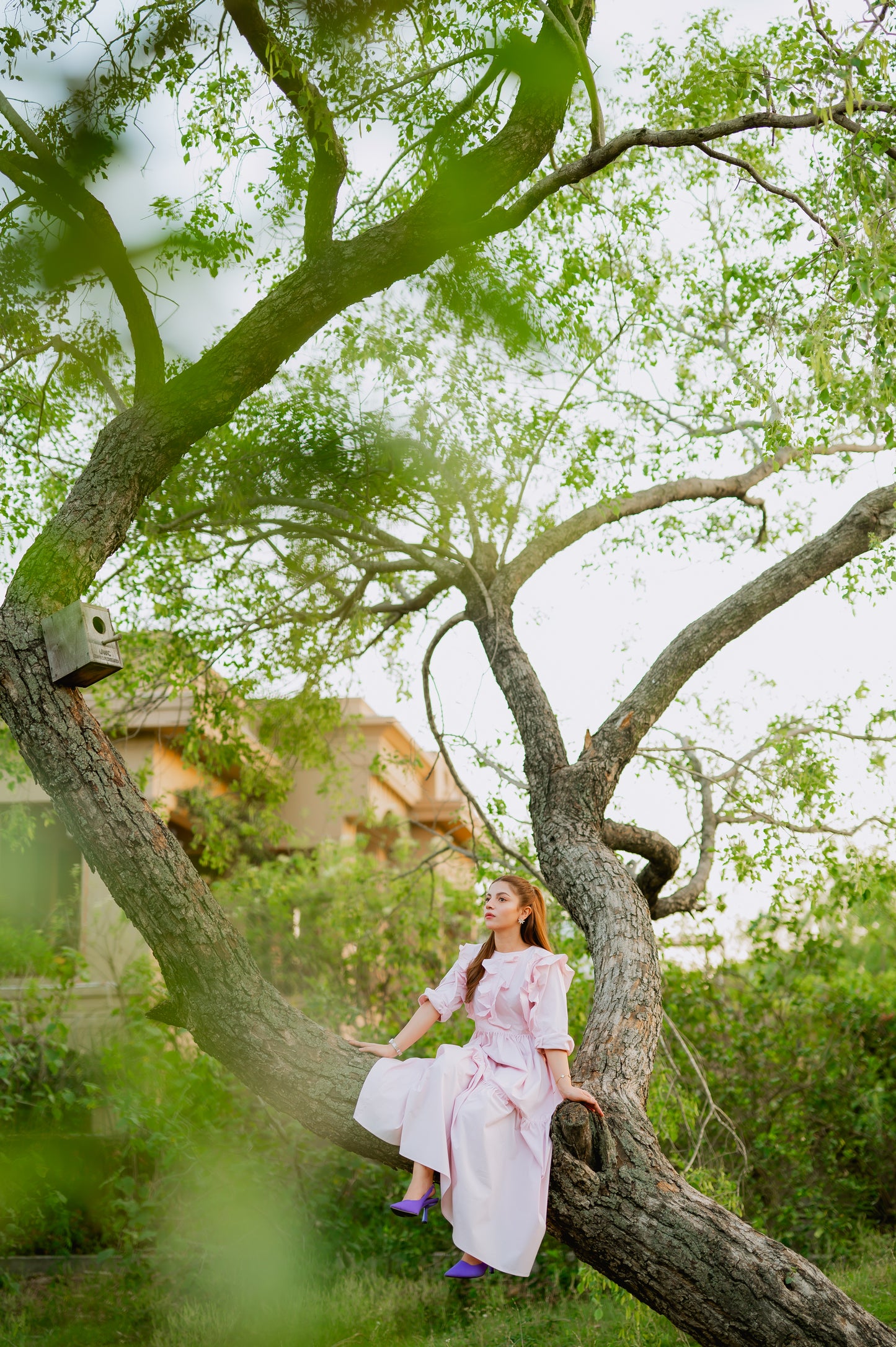 Sun - Lit Blush-Timeless by Waliya Noor