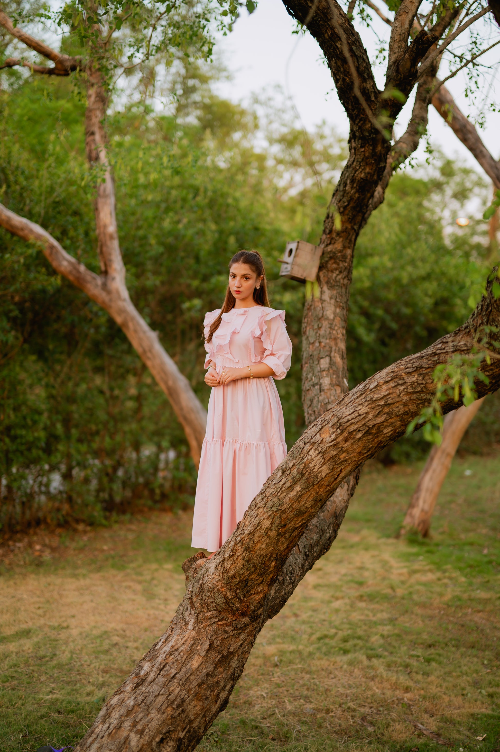 Sun - Lit Blush-Timeless by Waliya Noor